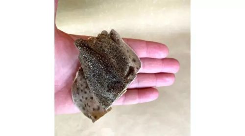 Barf Love - Cápa falatok, 100g - macskacápa