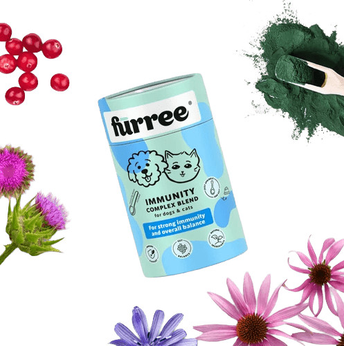 Fürree Immunity Complex 100g – természetes immunerősítő és bélflóra támogató por kutyáknak és macskáknak, visszazárható henger alakú papír dobozban