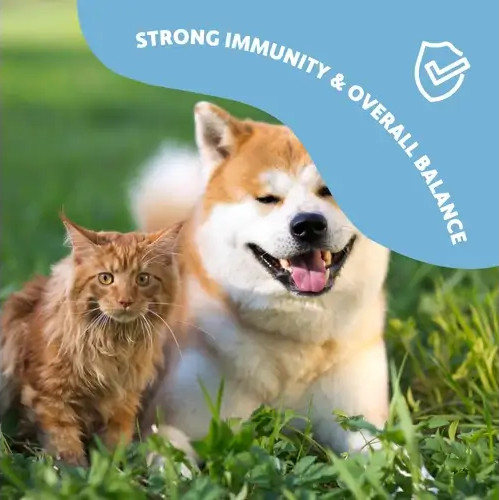 Fürree Immunity Complex 100g – természetes immunerősítő és bélflóra támogató por kutyáknak és macskáknak, visszazárható henger alakú papír dobozban