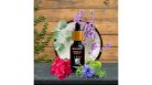 Zooro® Herbal Shield Spot-on - 100% természetes illóolaj keverék kutyáknak