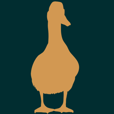 Kacsahús kutyáknak és macskáknak