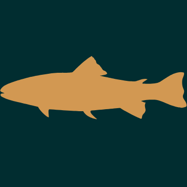 Lazac kutyáknak és macskáknak