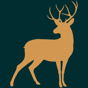 Szarvashús kutyáknak és macskáknak