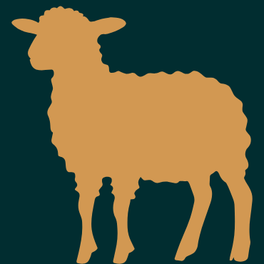 Bárányhús kutyáknak és macskáknak