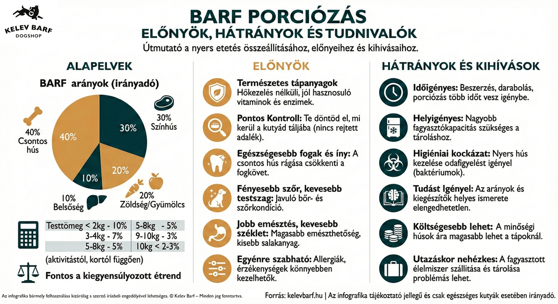 BARF porciózás előnyök és hátrányok összefoglaló infografika